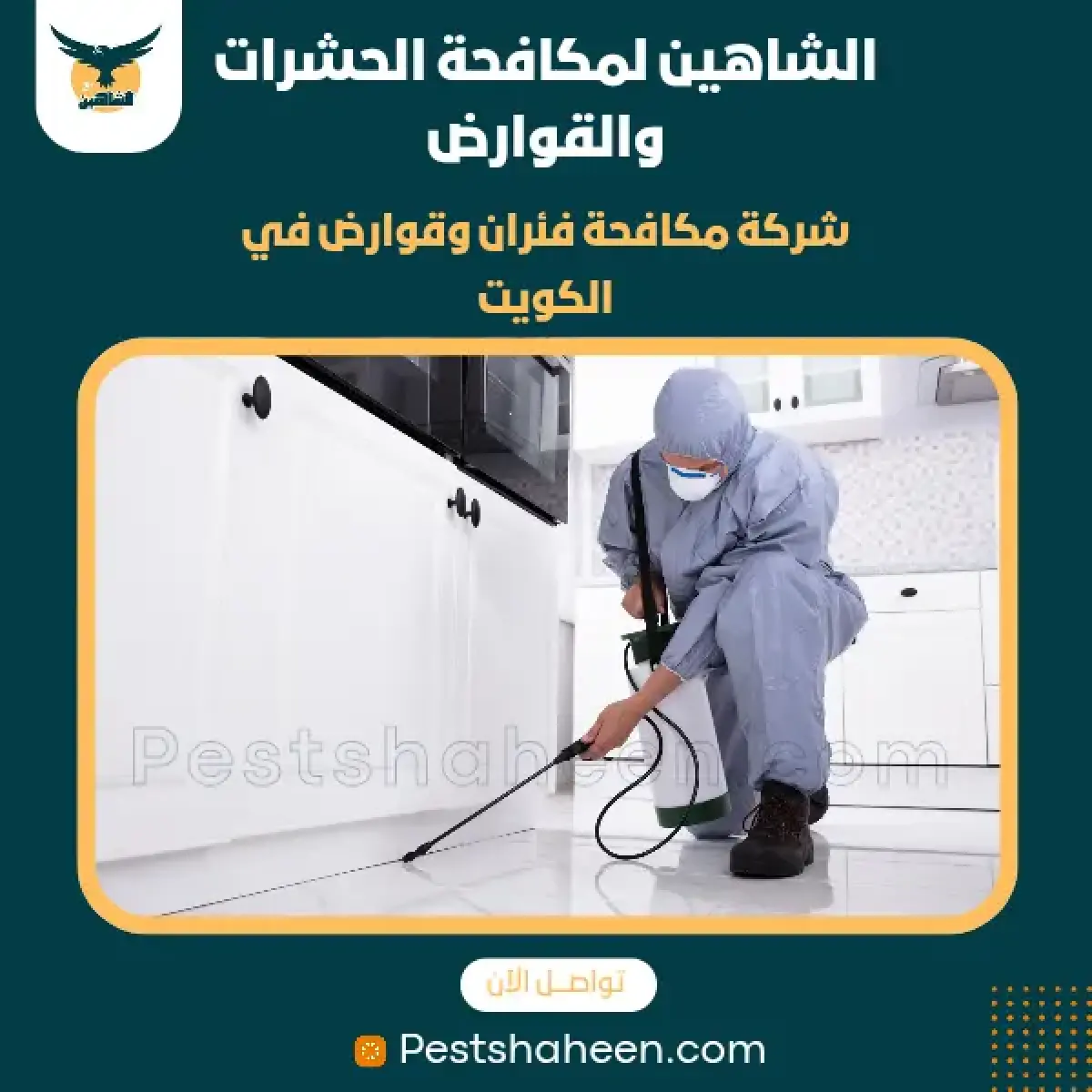 صورة من أعمالنا رقم 67